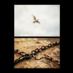 Healing Meditation