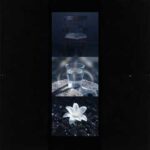 Healing Meditation