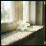 Healing Meditation
